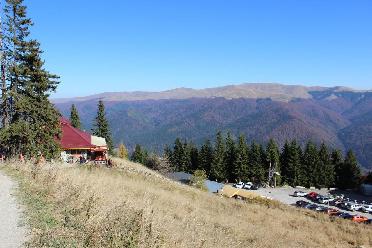 Sinaia Relax Residence 外观 照片